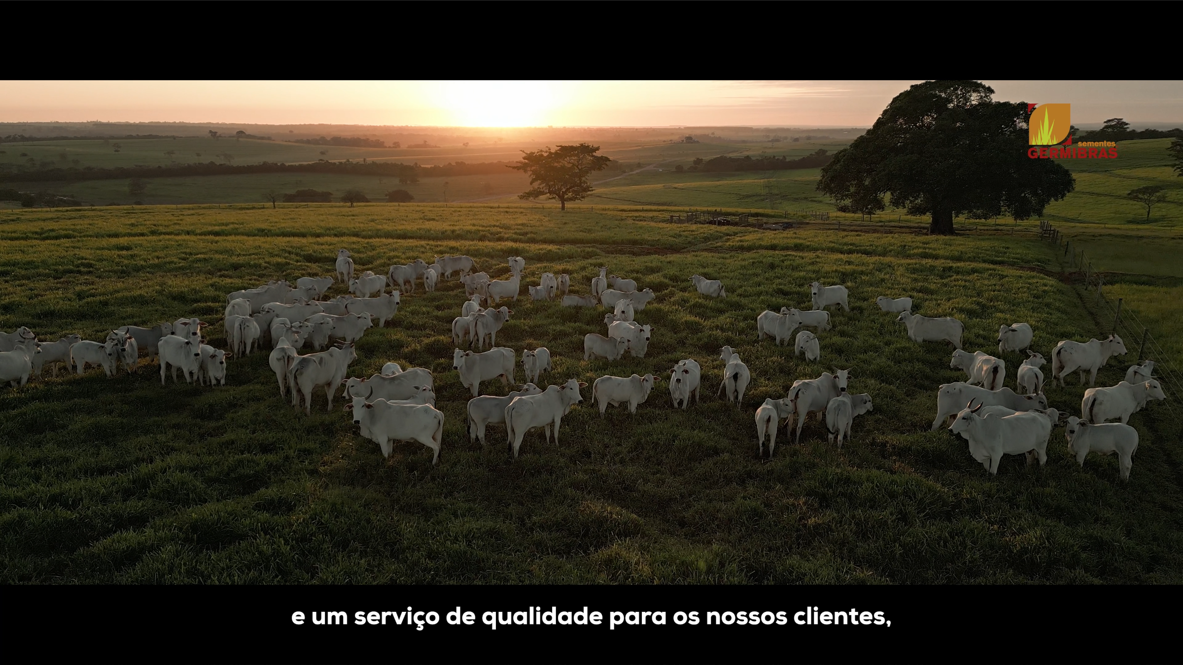 Foto de OPPA FILMES 4