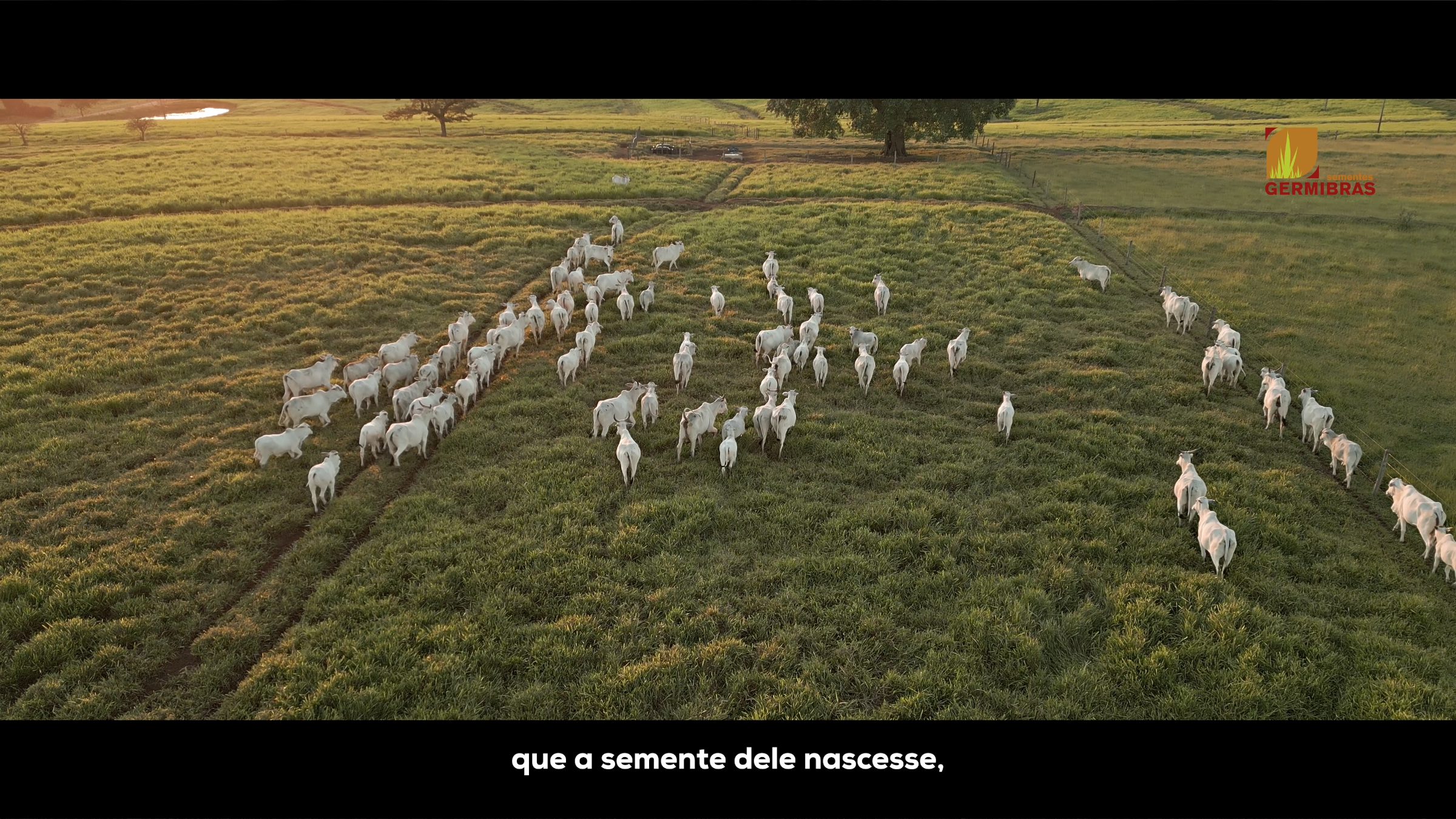 Foto de OPPA FILMES 2