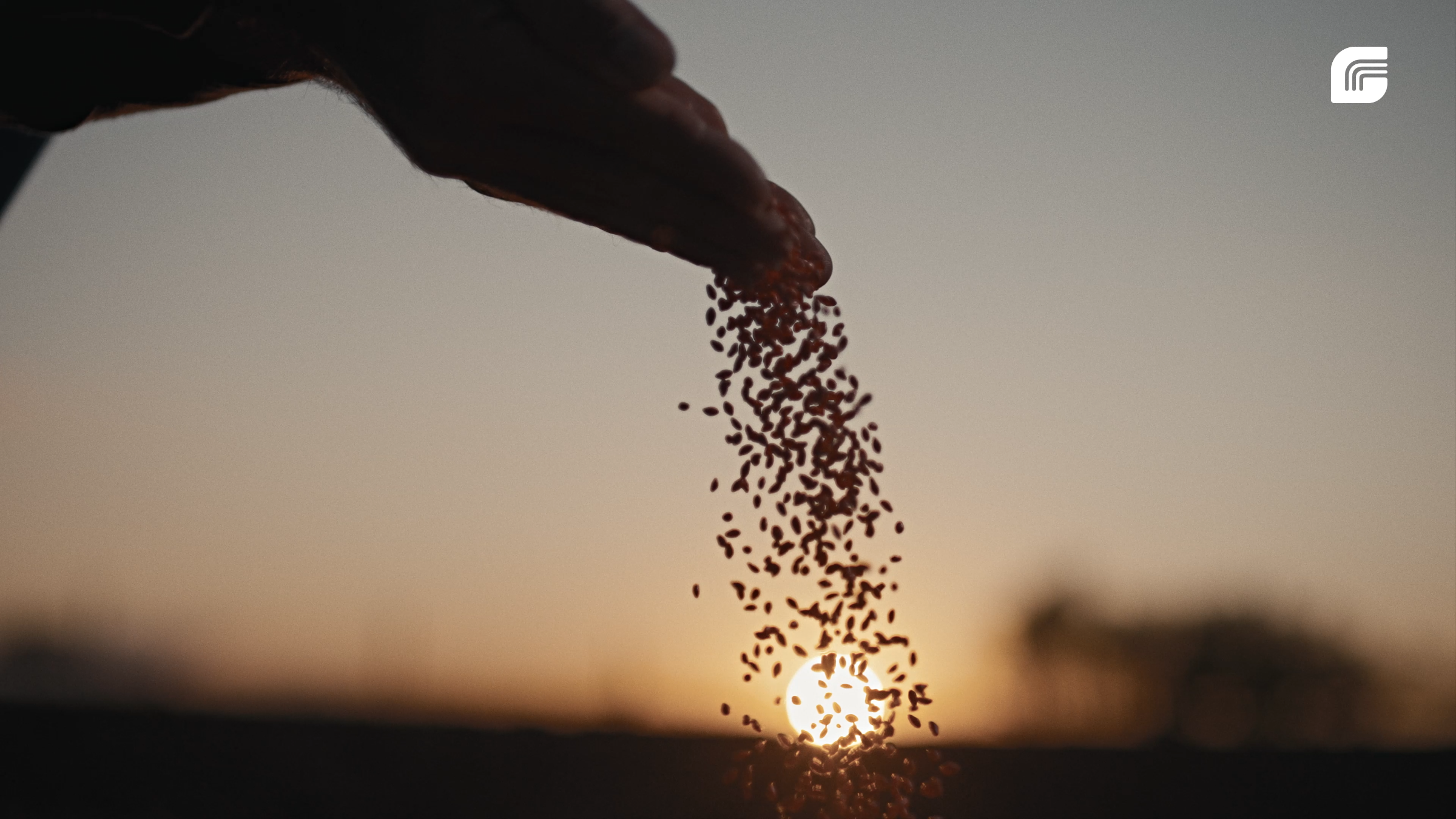 Foto de OPPA FILMES 7